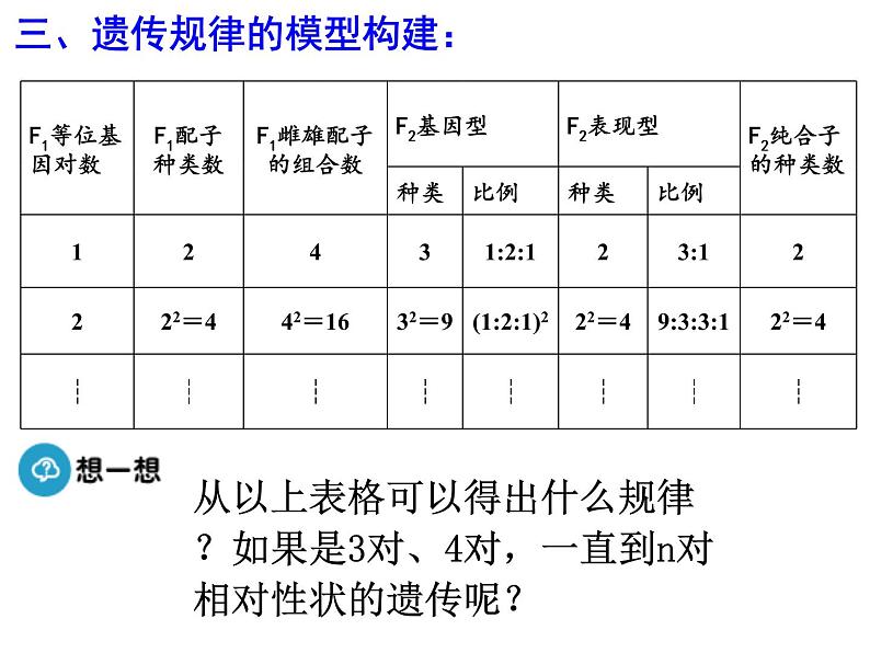 高中人教版生物必修二课件：第1章 第2节《孟德尔的豌豆杂交实验（二）》课时 2课件（共18 张PPT）07