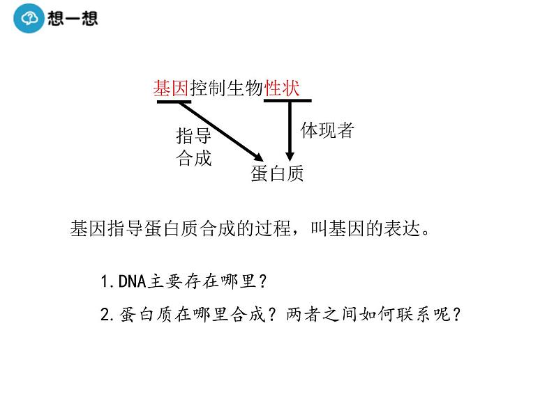 高中人教版生物必修二课件：第4章 第1节《基因指导蛋白质的合成》课时 1课件（共32 张PPT）05