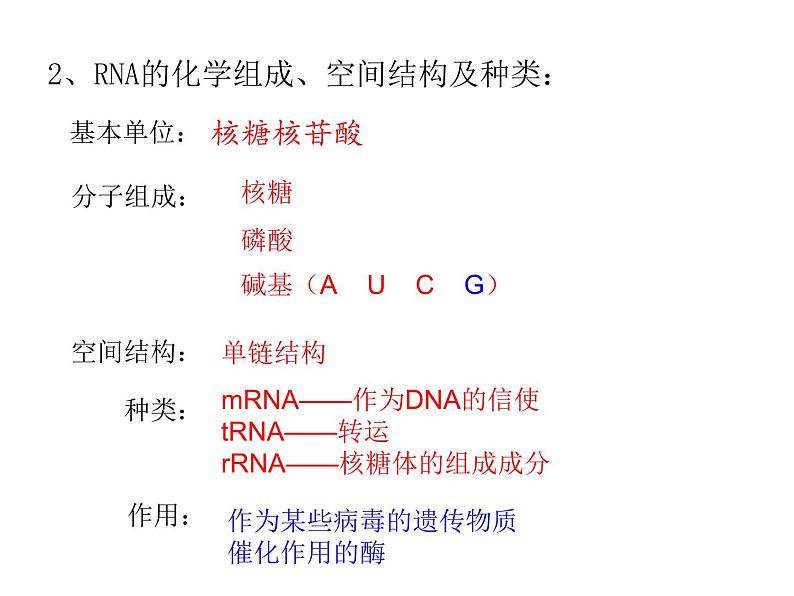 高中人教版生物必修二课件：第4章 第1节《基因指导蛋白质的合成》课时 1课件（共32 张PPT）08