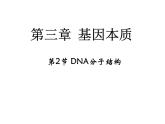 高中人教版生物必修二课件：第3章 第2节《DNA分子结构》课件（共43 张PPT）
