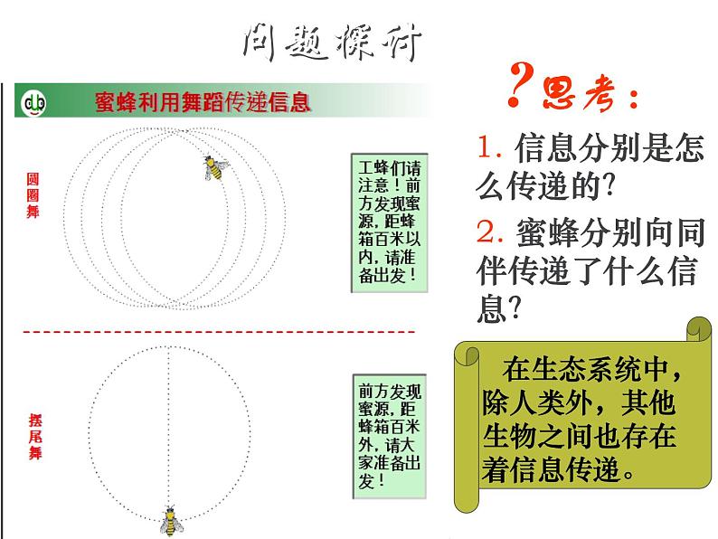 人教版高二生物必修3课件：5.4 生态系统的信息传递. （共50张PPT）06