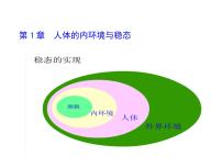 高中生物第1章 人体的内环境与稳态第1节 细胞生活的环境背景图ppt课件