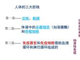 人教版高二生物必修3课件：2.4 免疫调节 （共100张PPT）