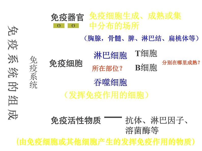 人教版高二生物必修3课件：2.4 免疫调节 （共100张PPT）03