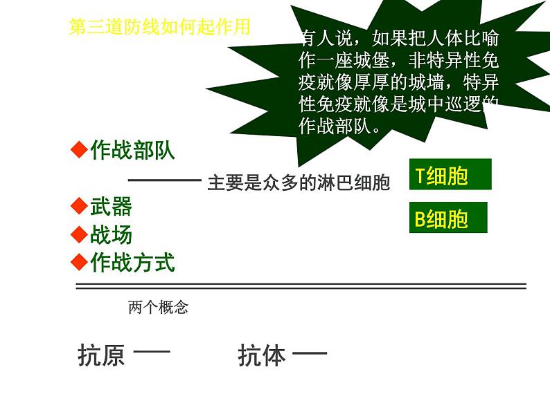 人教版高二生物必修3课件：2.4 免疫调节 （共100张PPT）05