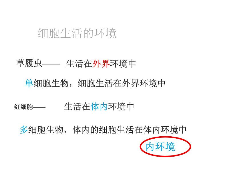 人教版高二生物必修3课件：1.1细胞生活的环境103