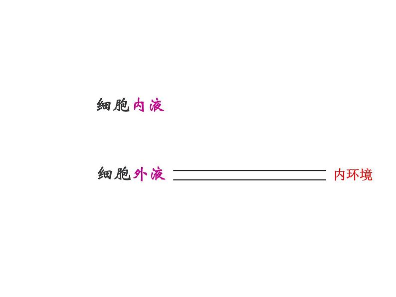 人教版高二生物必修3课件：1.1细胞生活的环境105