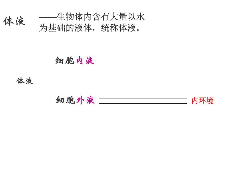 人教版高二生物必修3课件：1.1细胞生活的环境107