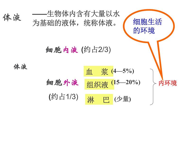 人教版高二生物必修3课件：1.1细胞生活的环境108