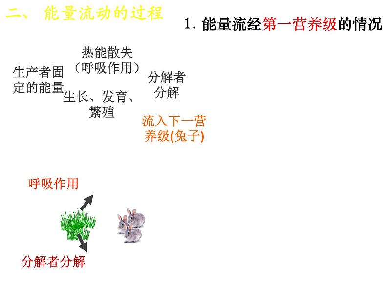 人教版高二生物必修3课件：5.2 生态系统的能量流动 （共25张PPT）07