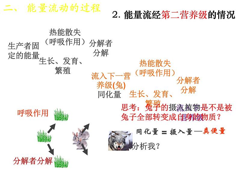 人教版高二生物必修3课件：5.2 生态系统的能量流动 （共25张PPT）08