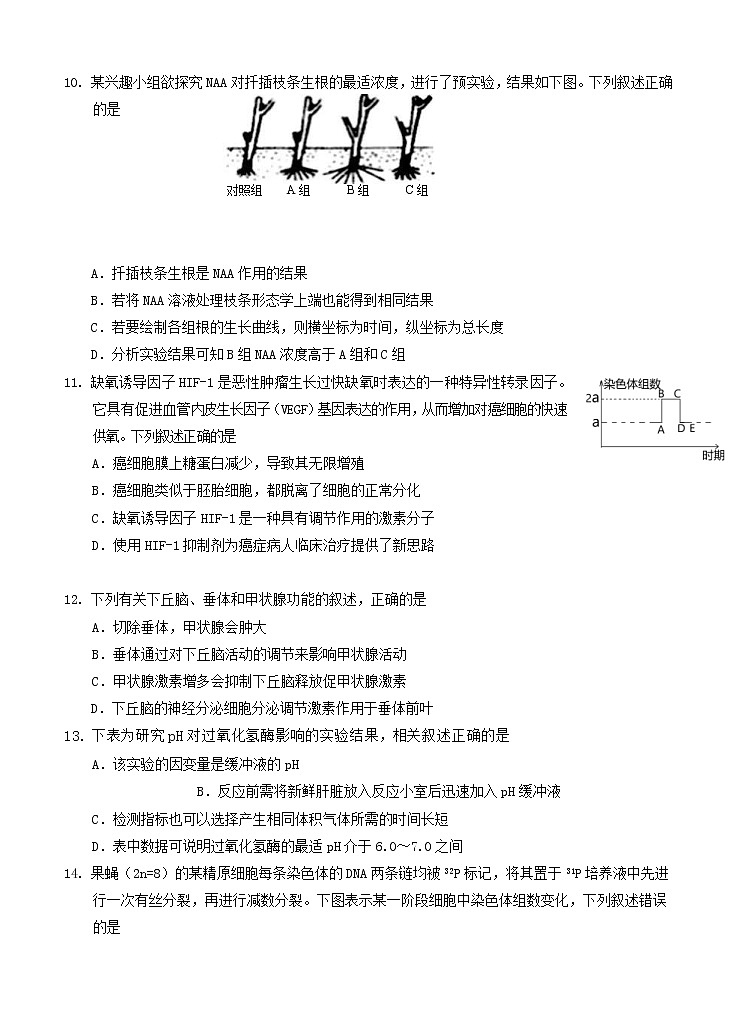 浙江省衢州、湖州、丽水2021届高三11月教学质量检测 生物(含答案)第3页