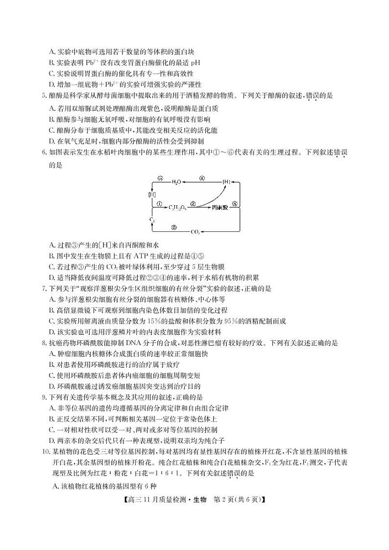 河南省郑州市、商丘市名师联盟2021届高三11月教学质量检测 生物（PDF版，含答案）第2页