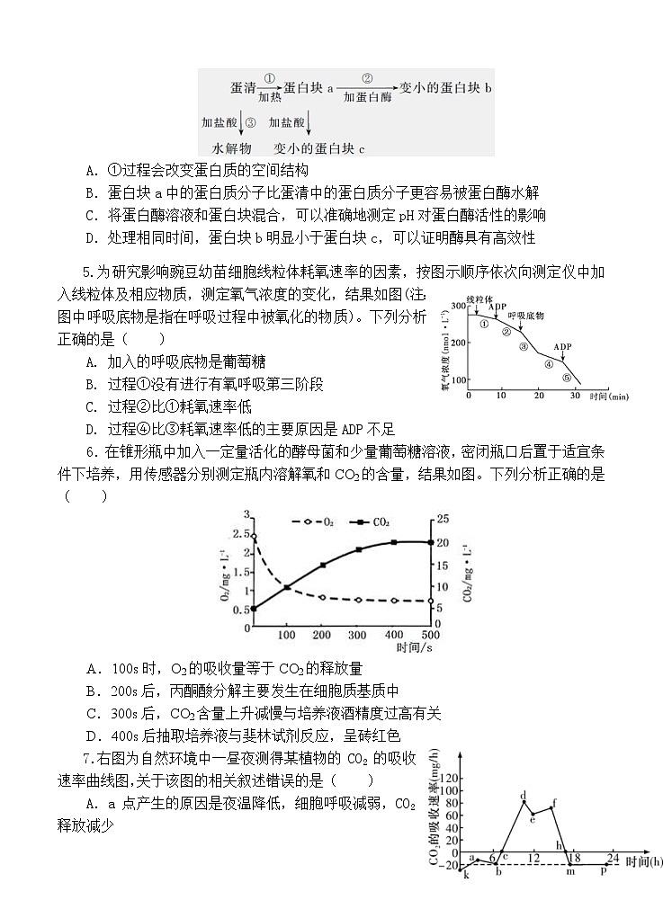 湖北省六校2021届高三11月联考 生物(含答案) 试卷02