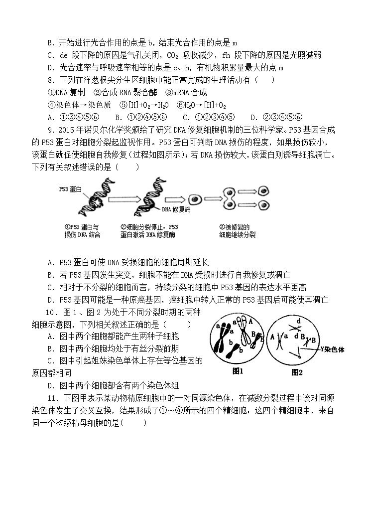 湖北省六校2021届高三11月联考 生物(含答案) 试卷03