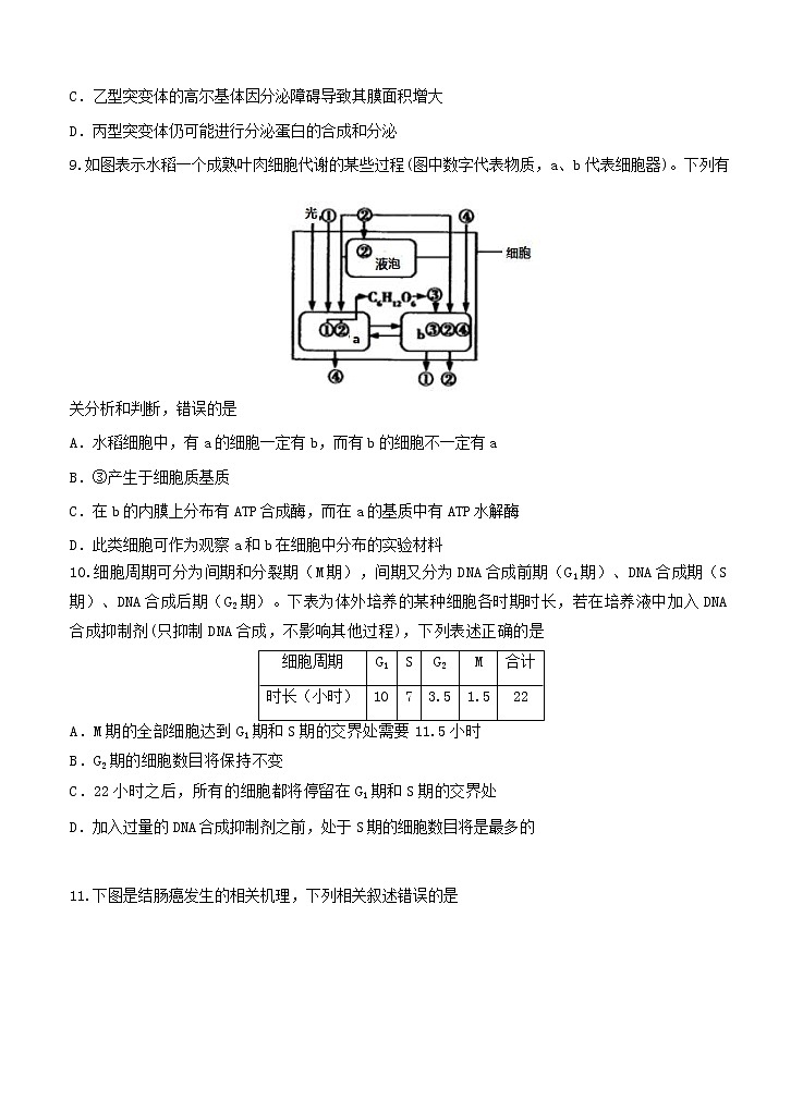 江苏省南京市六校联合体2021届高三上学期11月联考 生物(含答案) 试卷03