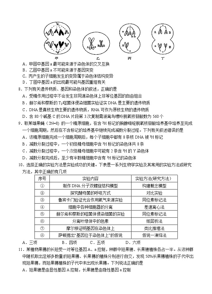 河北省唐山一中2021届高三上学期期中考试 生物(含答案)03