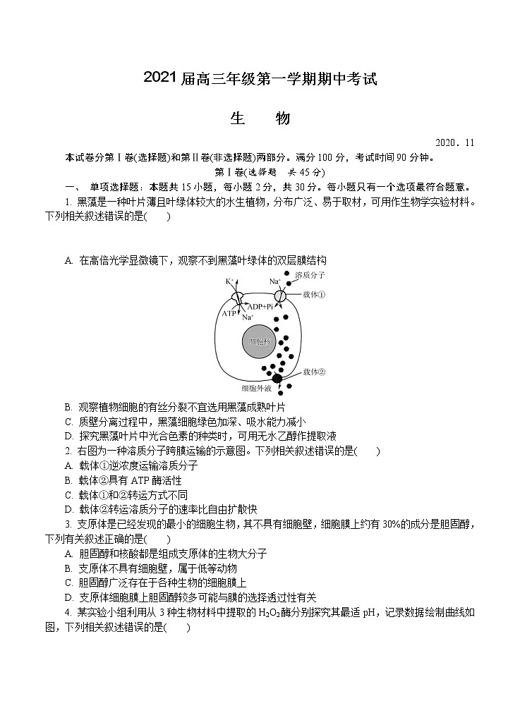 江苏省苏州市2021届高三上学期期中考试 生物(含答案)01