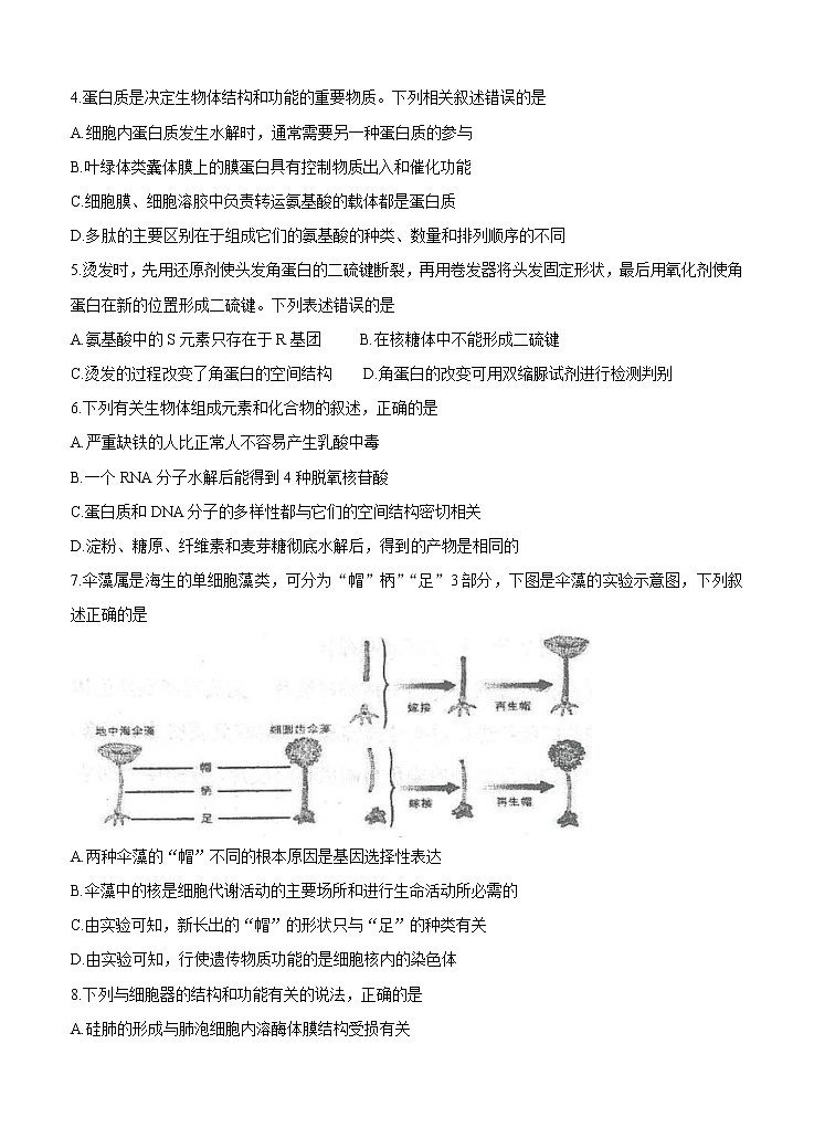 河北省衡水中学2021届高三上学期期中考试 生物(含答案)02