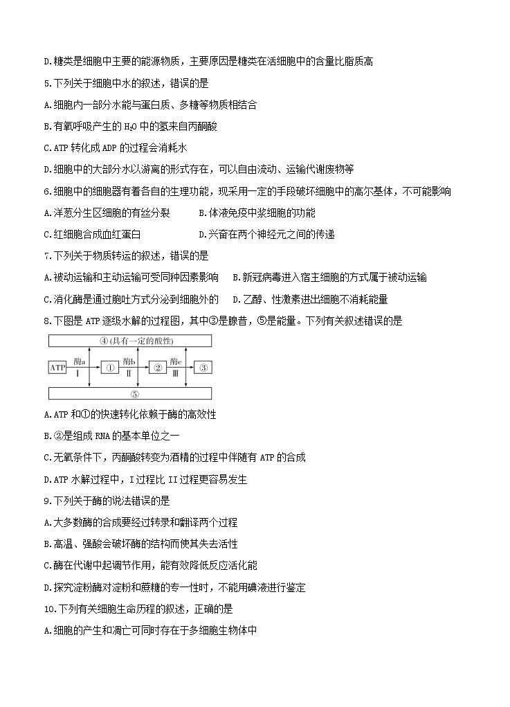 湖南省五市十校教研教改共同体2021届10月大联考 生物（含答案）第2页