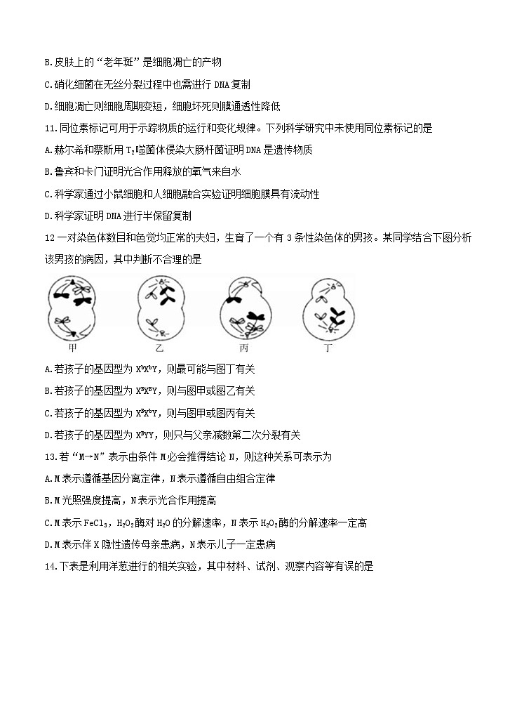 湖南省五市十校教研教改共同体2021届10月大联考 生物（含答案）第3页
