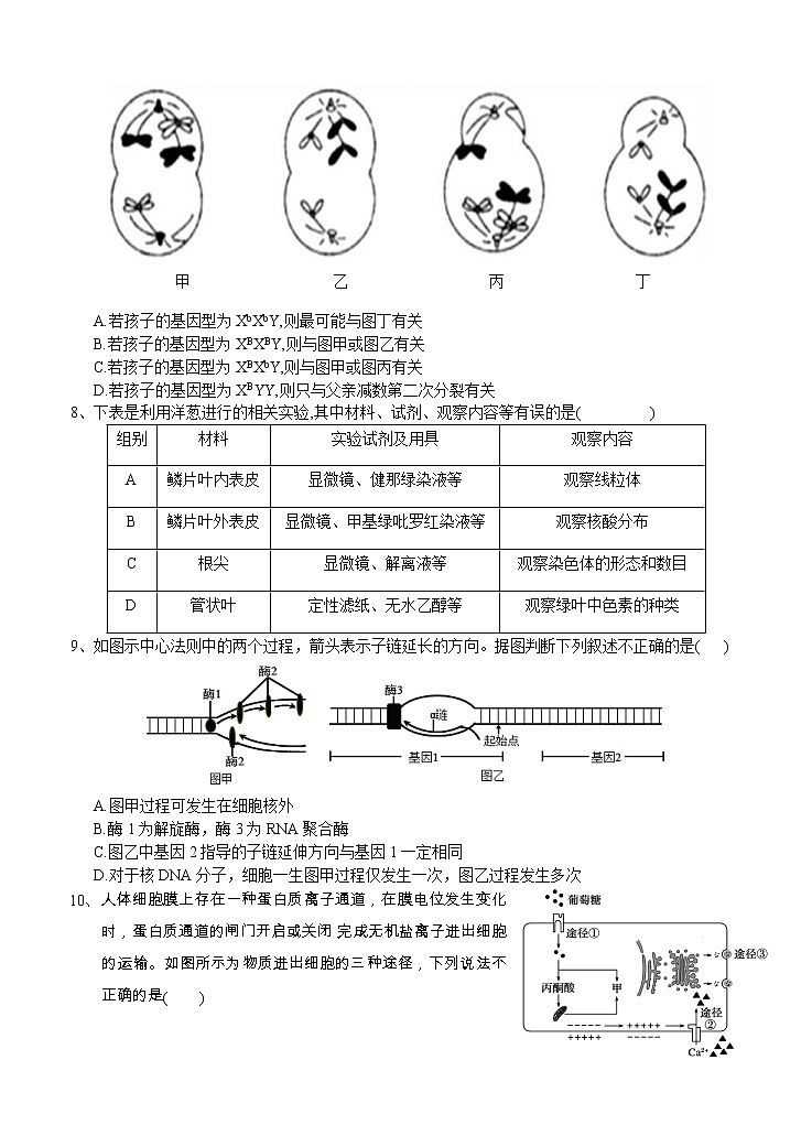 湖北省荆门市龙泉中学2021届高三11月月考 （期中）生物（含答案） 试卷03