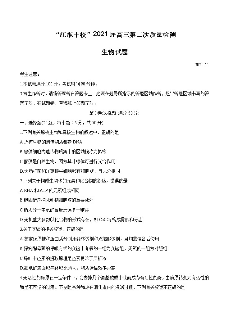 安徽省“江淮十校”2021届高三第二次质量检测（11月）生物（含答案）01