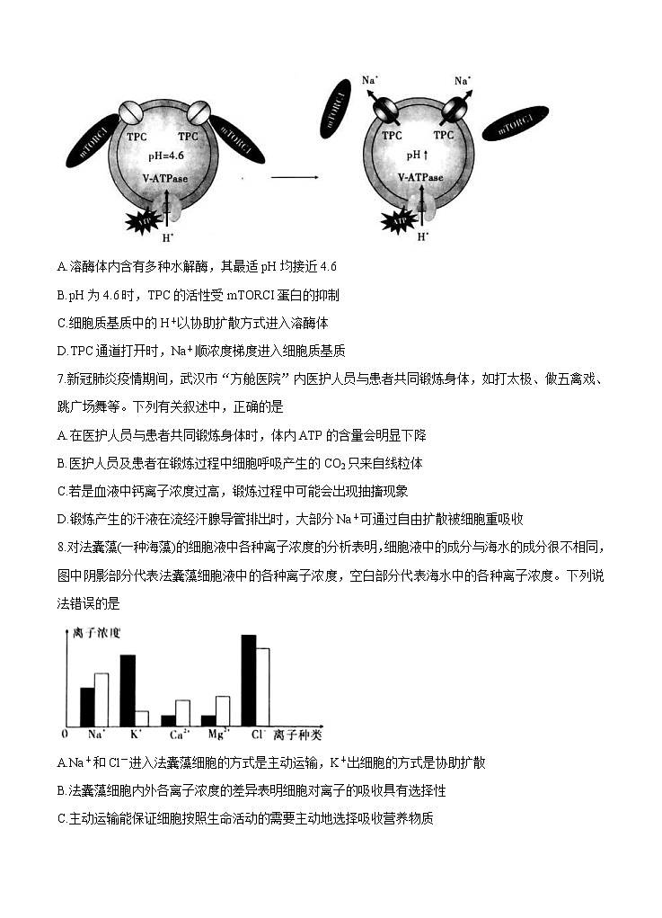 安徽省“江淮十校”2021届高三第二次质量检测（11月）生物（含答案）03