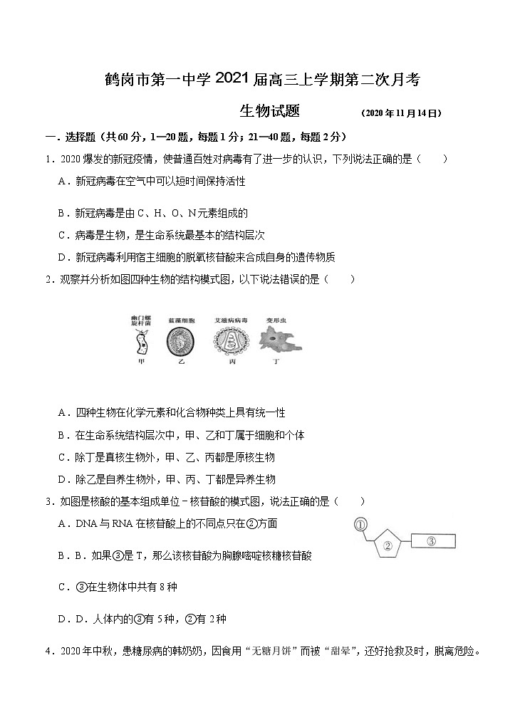 黑龙江省鹤岗市第一中学2021届高三上学期第二次月考 生物（含答案） 试卷01