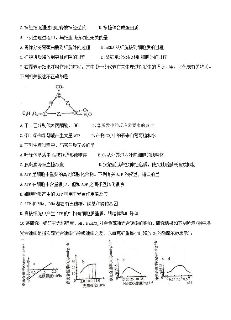 河北省张家口市2021届高三上学期第一次质量检测 生物（含答案）02