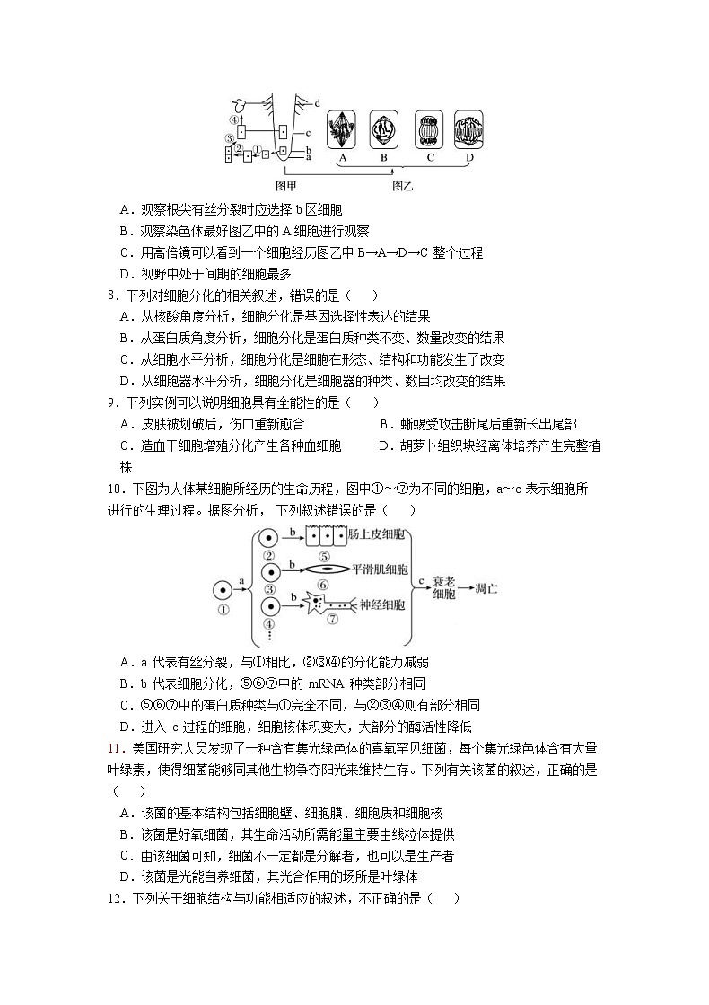 甘肃省天水一中2021届高三上学期第二次考试 生物（含答案）02