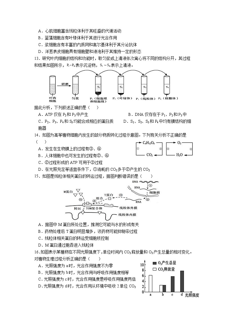 甘肃省天水一中2021届高三上学期第二次考试 生物（含答案）03