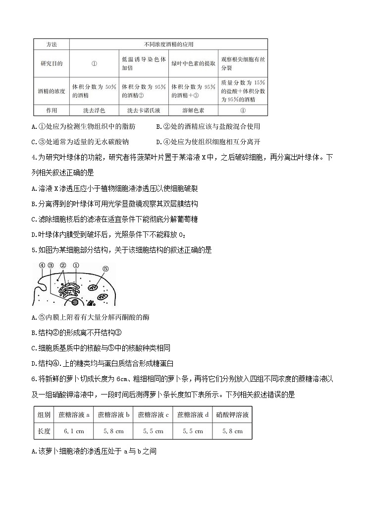 河南省2021届高三10月联考 生物（含答案） 试卷02