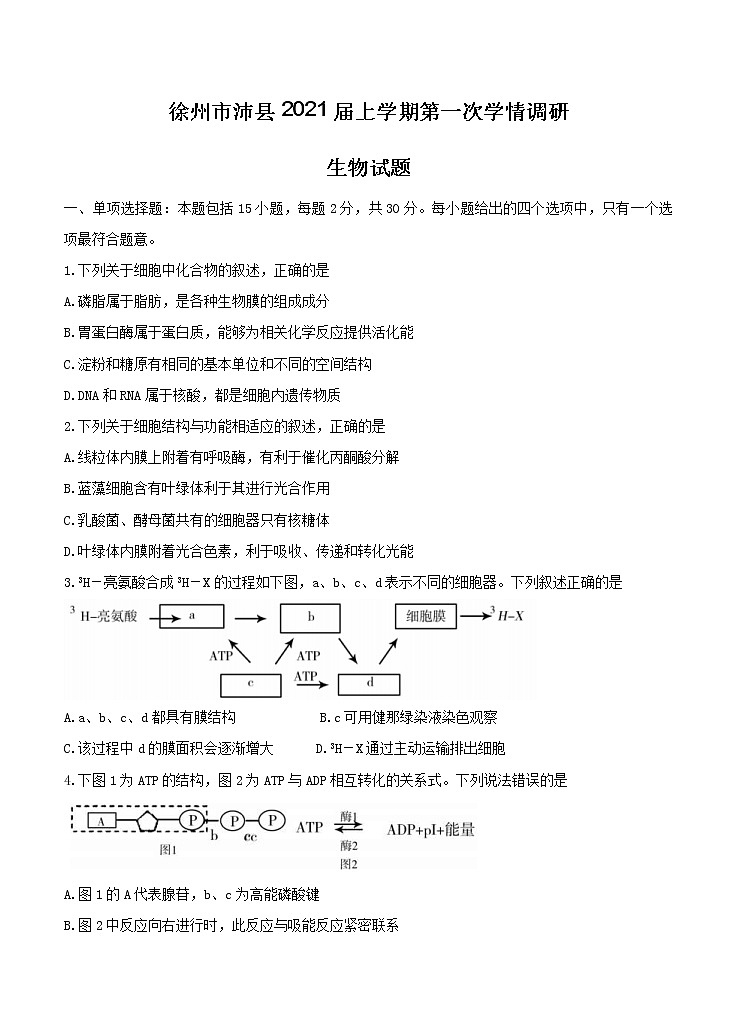 江苏省徐州市沛县2021届高三上学期第一次学情调研 生物（含答案） 试卷01