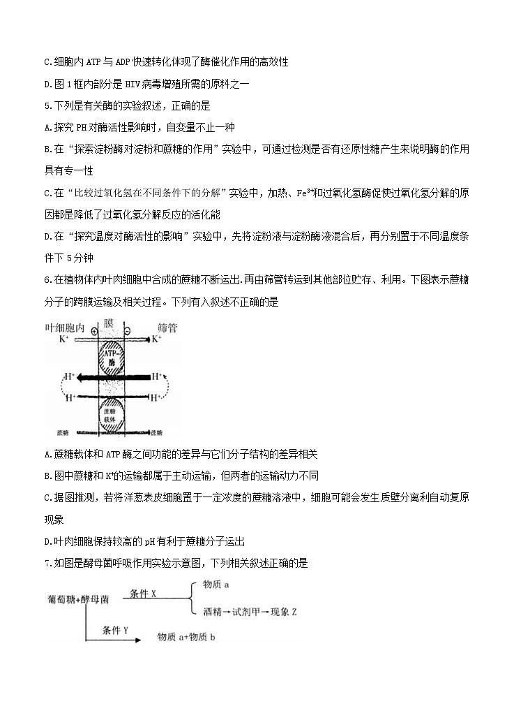 江苏省徐州市沛县2021届高三上学期第一次学情调研 生物（含答案） 试卷02