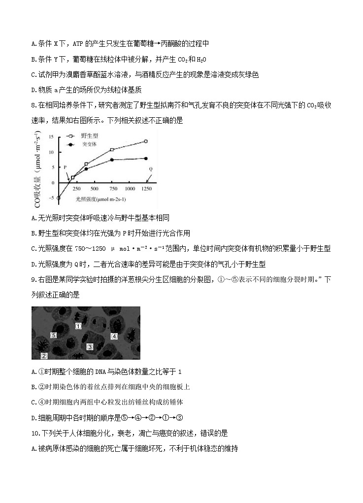 江苏省徐州市沛县2021届高三上学期第一次学情调研 生物（含答案） 试卷03