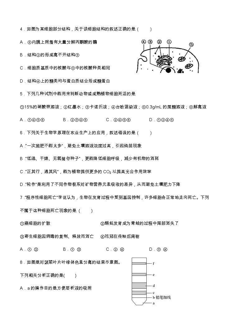 福建省福州市八县（市）一中2021届高三上学期期中联考 生物（含答案） 试卷02