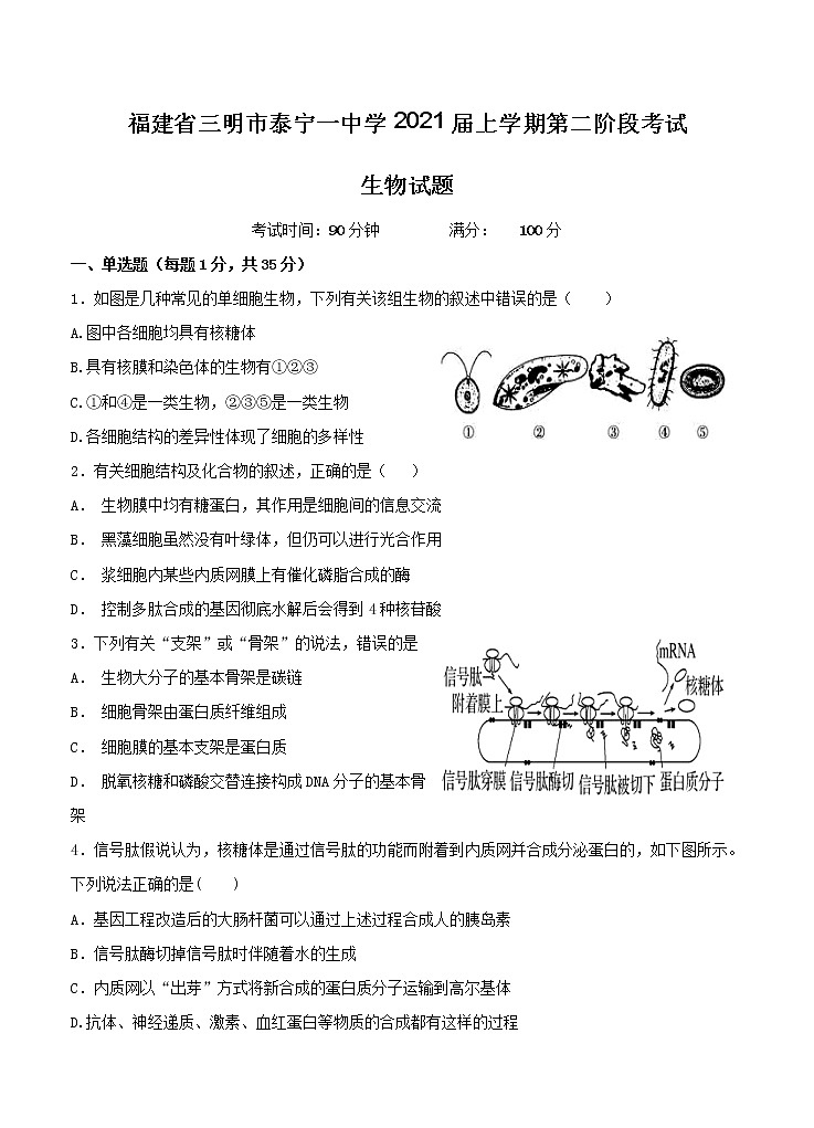 福建省三明市泰宁一中学2021届高三上学期第二阶段考试 生物（含答案）第1页