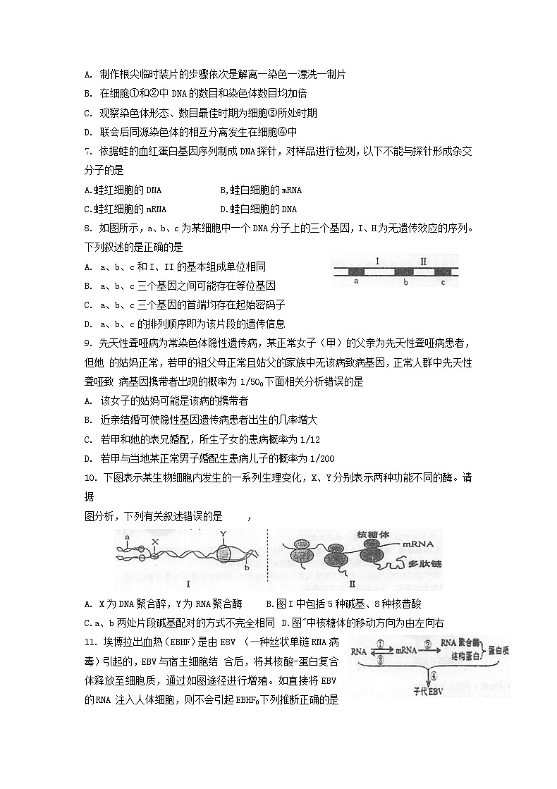 江苏省泰州中学2021届高三上学期第二次月度检测生物试题（含答案）第2页