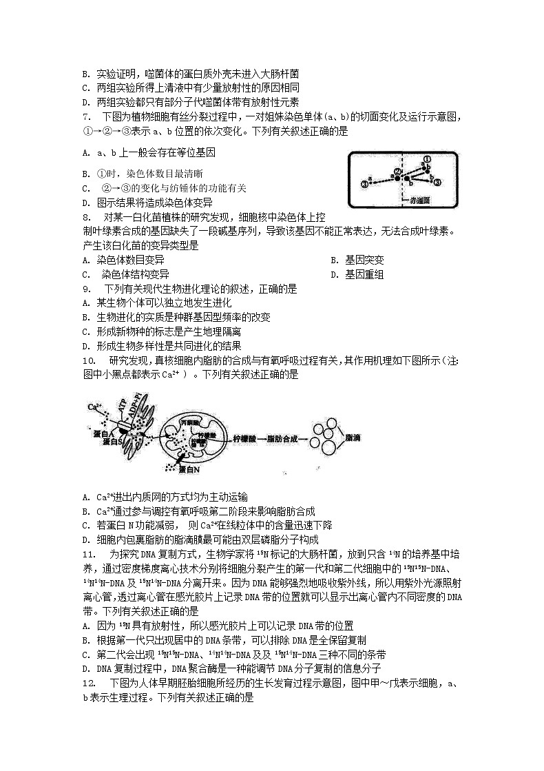 江苏省盐城市2020-2021学年第一学期高三生物期中调研试卷（含答案）02