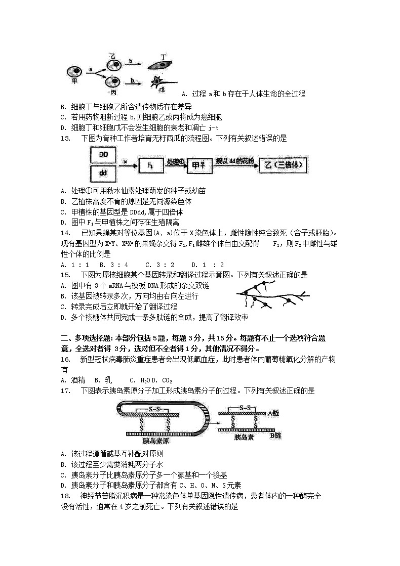 江苏省盐城市2020-2021学年第一学期高三生物期中调研试卷（含答案）03