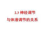 2.3 神经调节与体液调节的关系(1) 课件