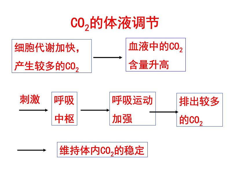 2.3 神经调节与体液调节的关系(1) 课件05