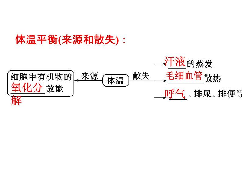 2.3 神经调节与体液调节的关系(1) 课件08