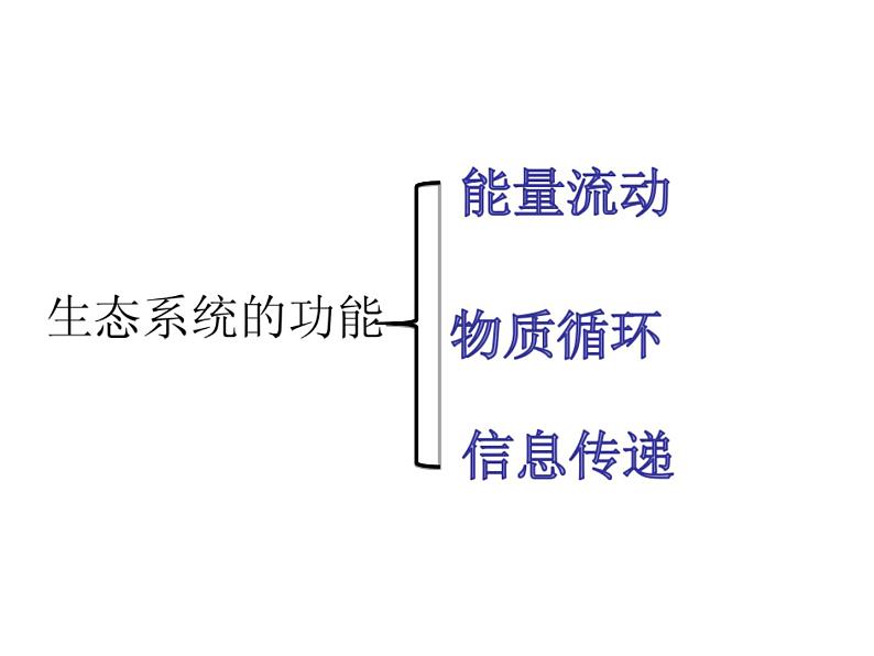 5.2 生态系统的能量流动 课件02