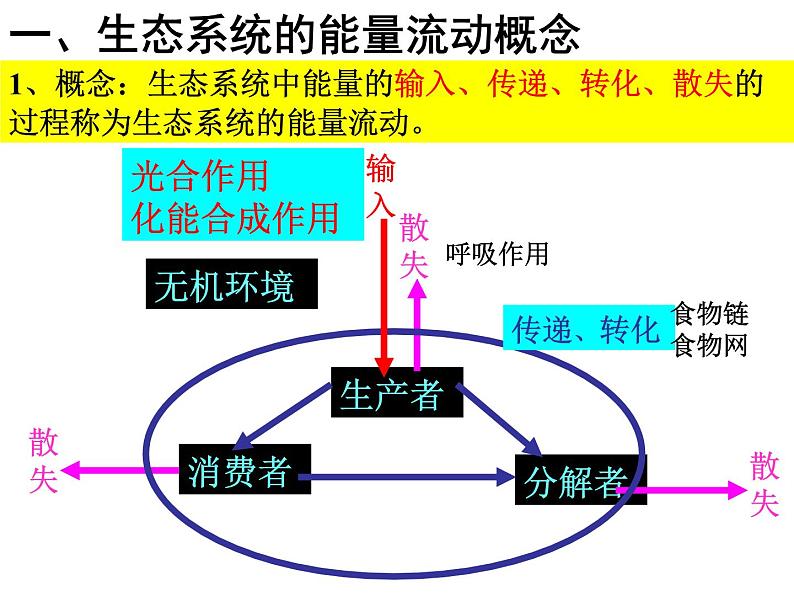 5.2 生态系统的能量流动 课件05