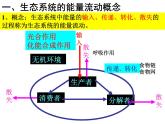 5.2 生态系统的能量流动 课件