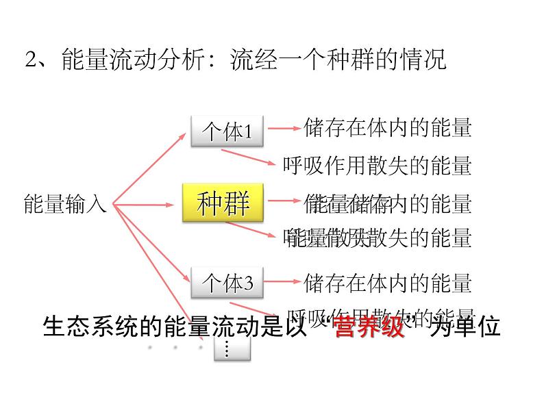 5.2 生态系统的能量流动 课件06