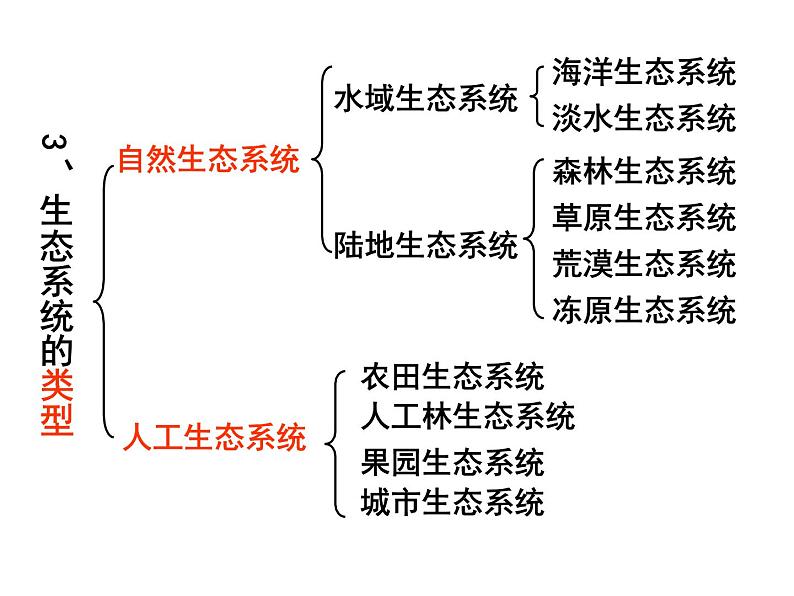 5.1 生态系统的结构 课件04