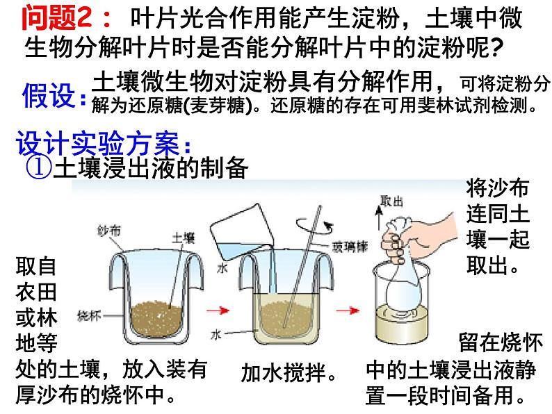 5.3-探究 土壤微生物的分解作用 课件06